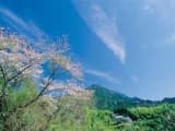 馬越公園