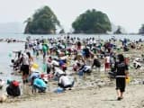 向井 黒の浜
