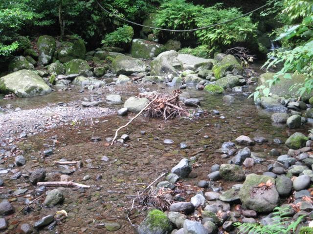 A swamp where you can play in the water
