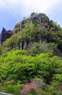 Fresh green of Yaba-kei Gorge