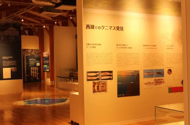 クニマス未来館