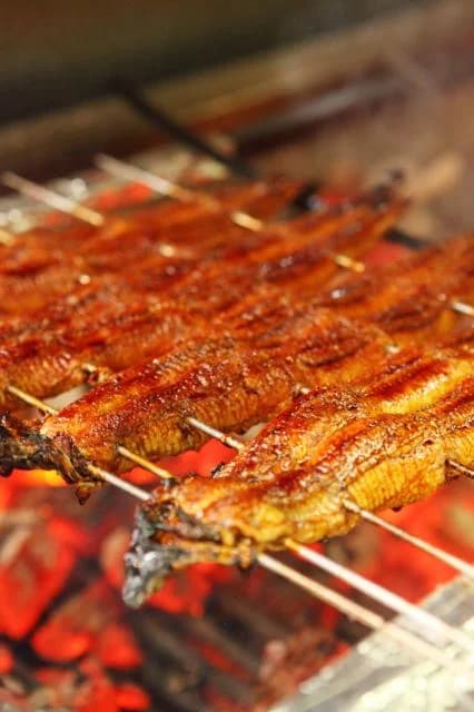 Unagi from Isshiki