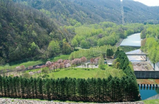 Tokachi Dam Campsite
