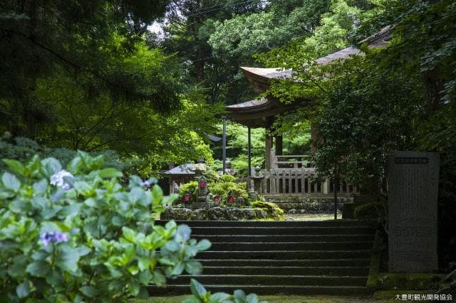 National Treasure Horaku-ji Temple Yakushi-do Hall