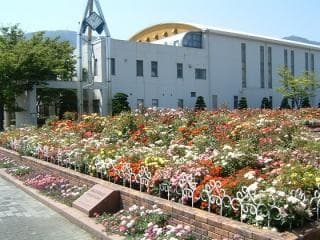 Rose (Iyomishima Sports Park)