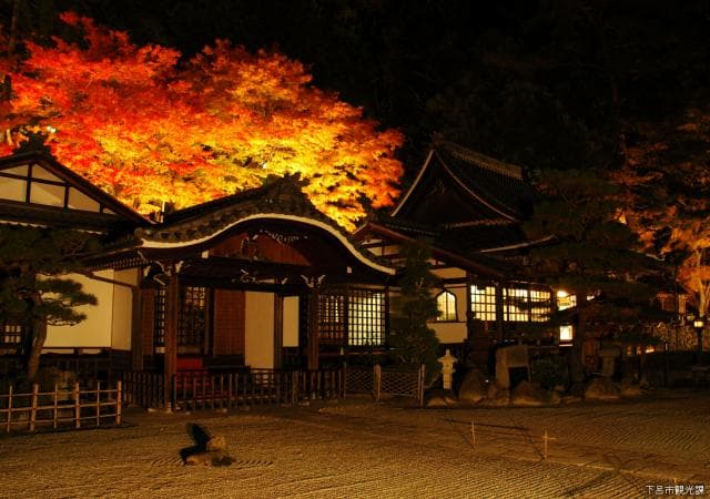 Onsenji Light Up