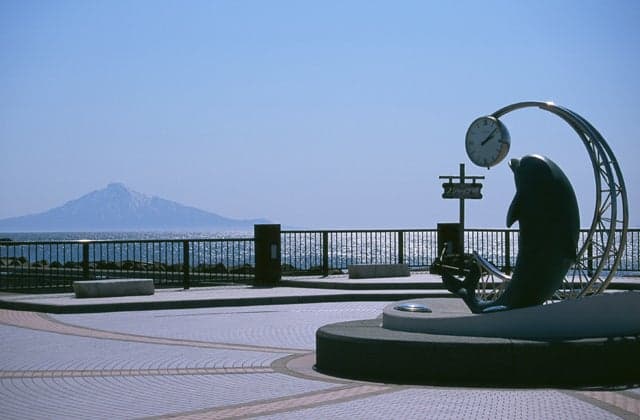 恵山泊漁港公園