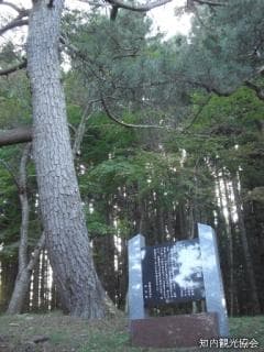 Kuromatsu of Ara Shrine