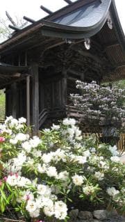 Ishikusuhana