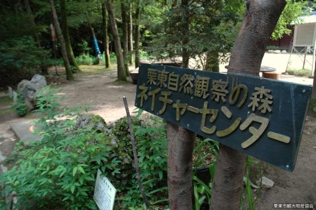 Ritto Nature Observation Forest