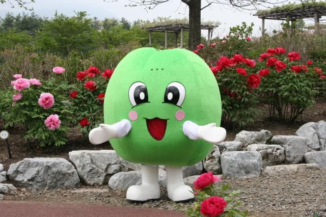 いなべ市農業公園(ぼたん園)と、うめぼ~や