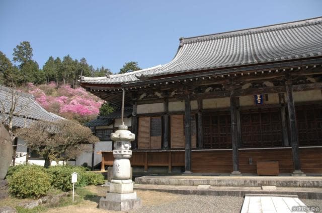 Renge-ji Temple and honeybee azalea