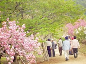 Bird Forest (Santokuen)