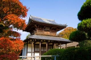 東光寺紅葉1