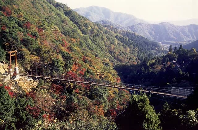 Shindoji Bridge (Tsuribashi)