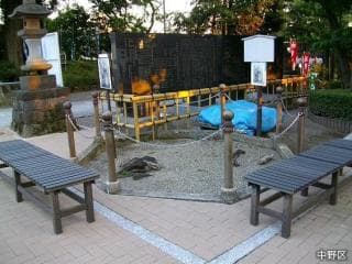 Dokansugi