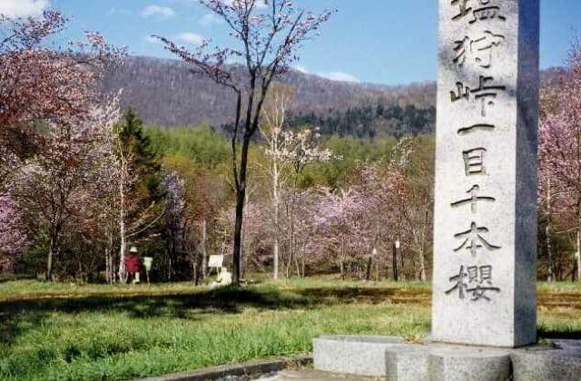 Shiokari Pass Imoku Senbonzakura