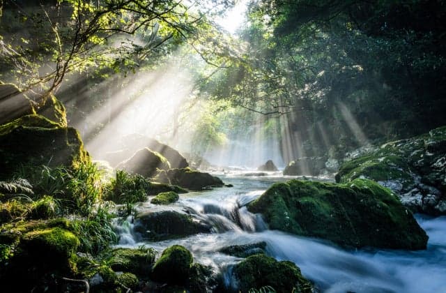 The light beam of the Enbara River