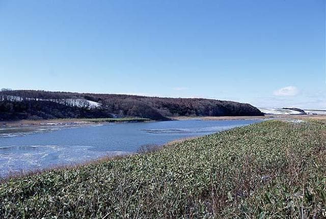 Omshari Marsh