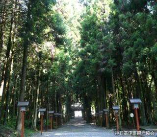 Aburagi Kame Tsuruyama Yahata-jinja Shrine