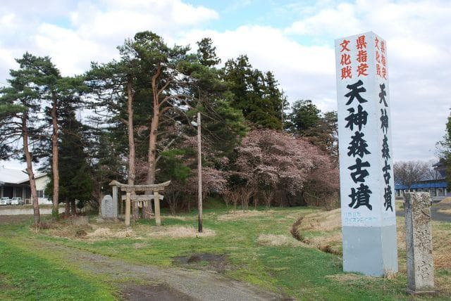 Tenjinmori-kofun Tumulus and Kame Moriyama Tenman-gu Shrine