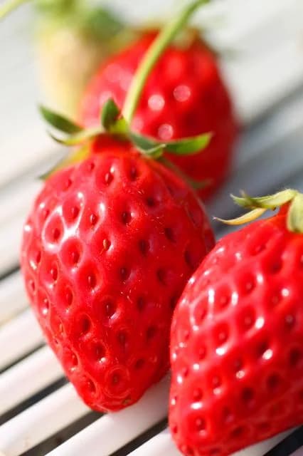 Omagaricho Strawberry