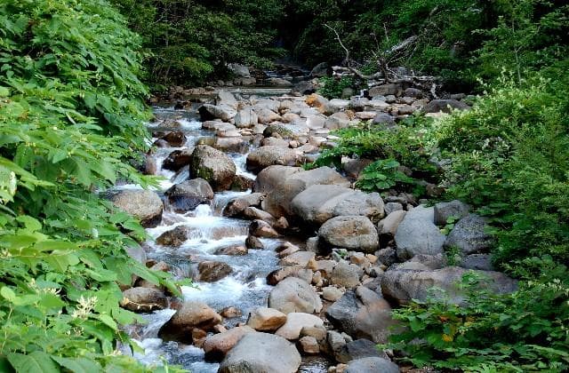 Summer of the Shirouzu River