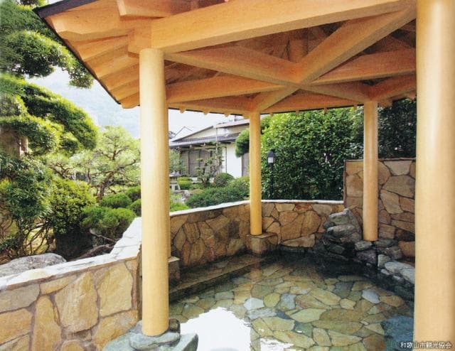 天然紀三井寺温泉 花の湯