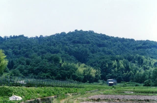 Mt. Kannabi