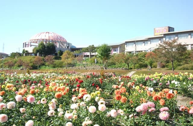 Kawanishi Town Bathing Center Madoka