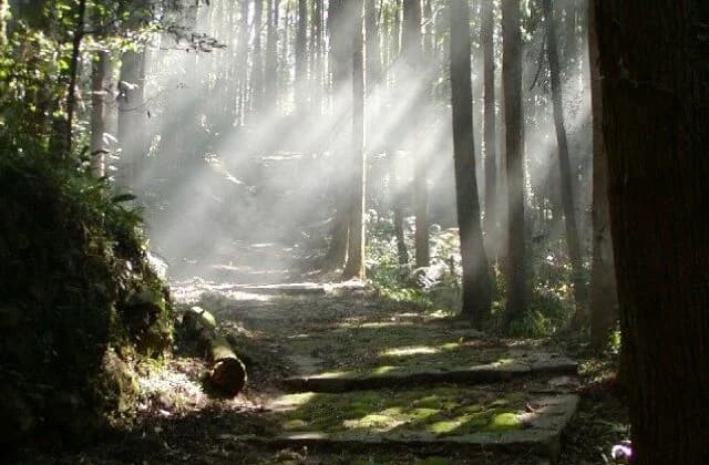 Kumano Kodo
