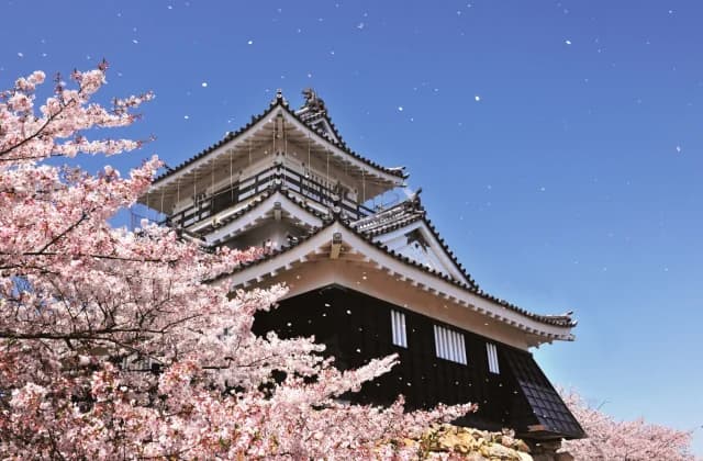 Hamamatsu-jo Castle