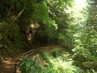 飯山白山森林公園