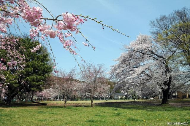 Musashi Kokubunji Site (Monk-ji Temple)