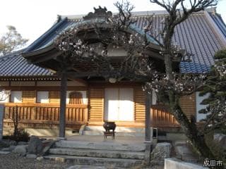 Shinjo-in Temple