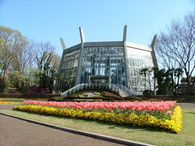 Large greenhouse
