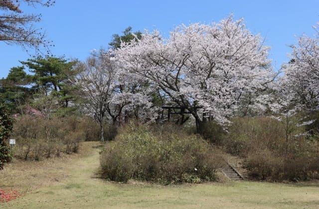 Aoba Castle Ruins