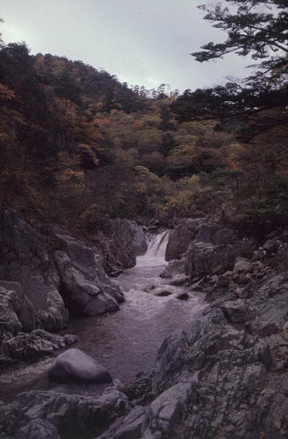夏井川渓谷