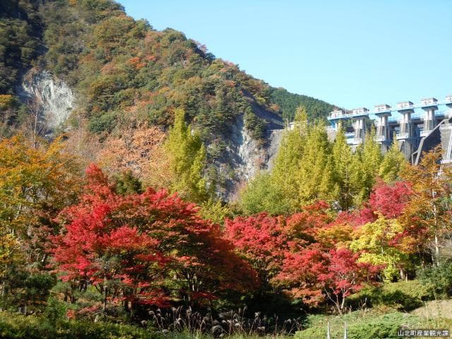 ダム広場(三保ダム)