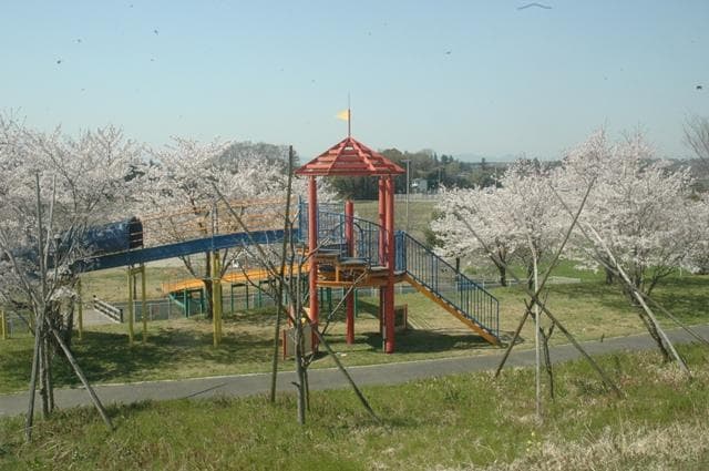 Sakura Riverside Park