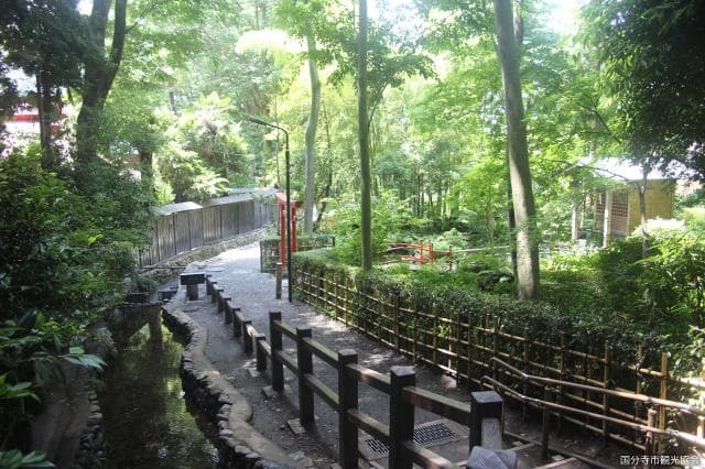 Otaka no Michi, true pond spring water group