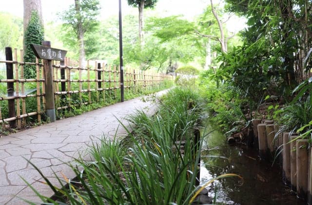 The path of the hawk