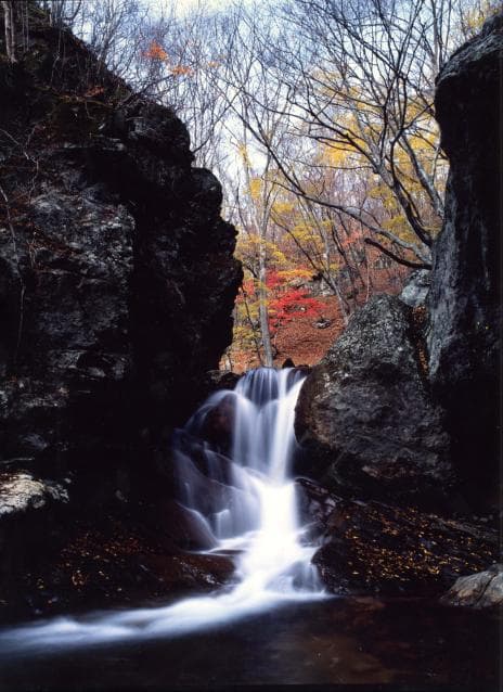 Offered by Otama Village Tourism Association