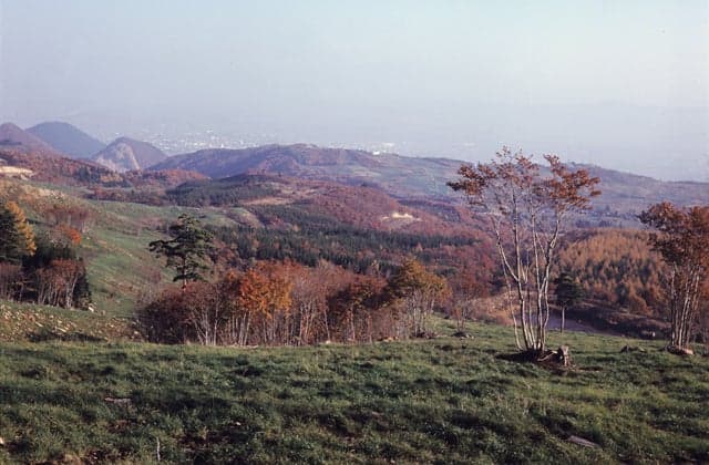 Nishi Zao Plateau