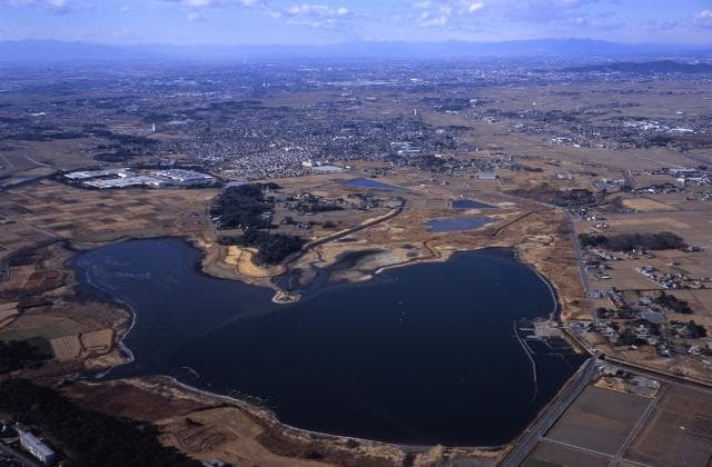 Tatara Marsh