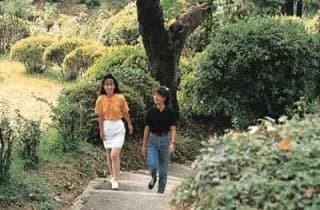 Wakayama Park / Azalea