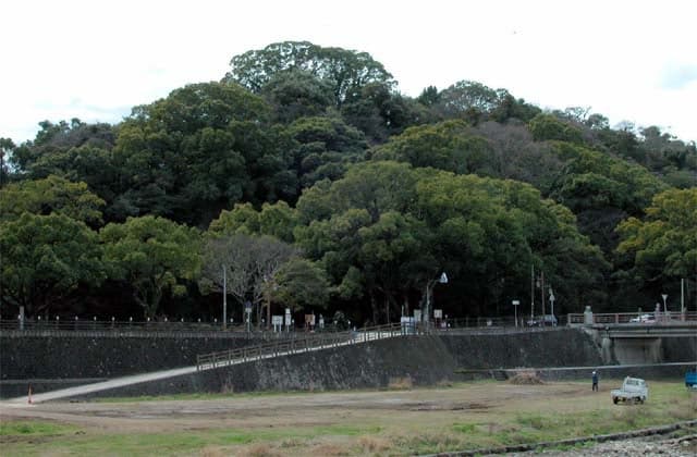 Isahaya-shi Shiroyama warm area tree flora