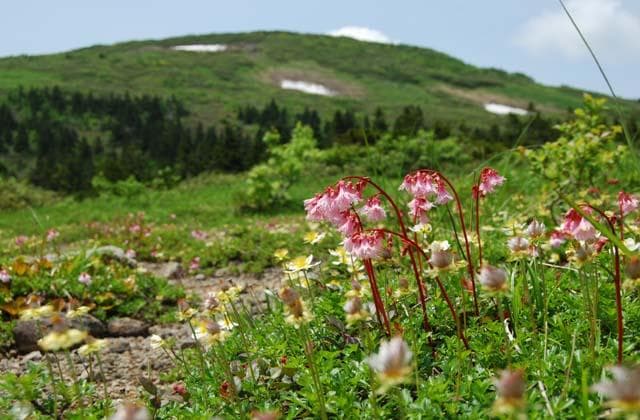 Mount Moriyoshi
