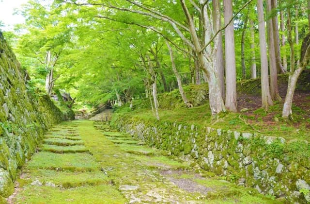 Kudara-ji Temple