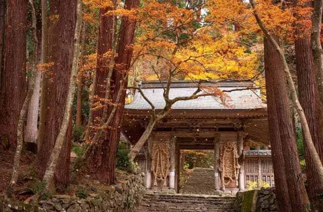 Kudara-ji Temple